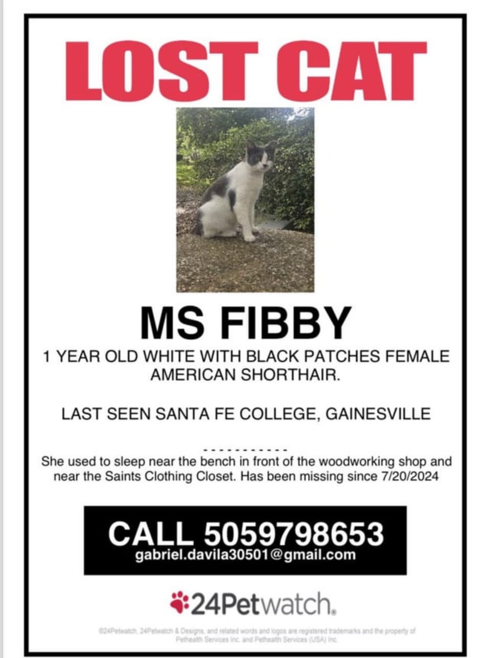 Santa Fe College Campus Cat Missing