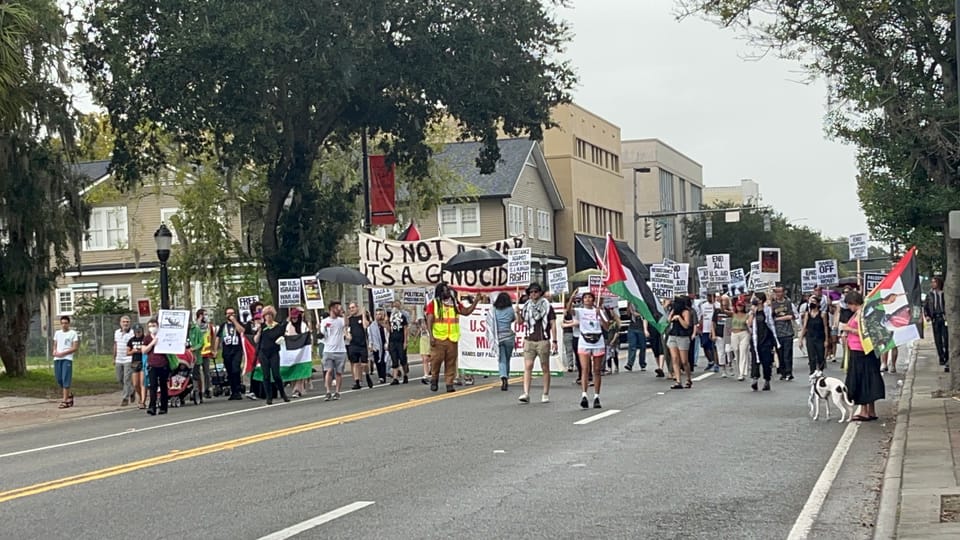 Pro-Palestine Protesters Take Streets in Pouring Rain